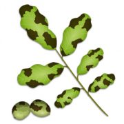 Walnuss: Befall mit Marssonina-Pilz