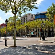 Stadtbäume: Zwischen Evolution und Technik