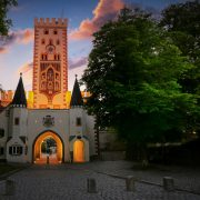 Stadtbäume: Zwischen Evolution und Technik