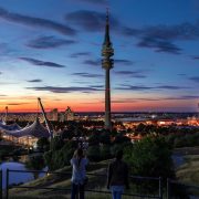 Stadtbäume: Zwischen Evolution und Technik