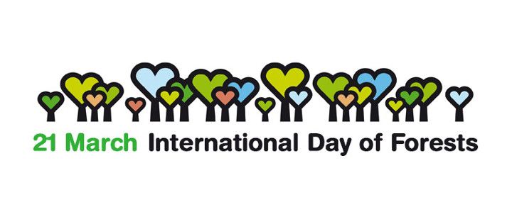 Tag des Waldes 2017: Die Energie des Waldes tut uns gut!