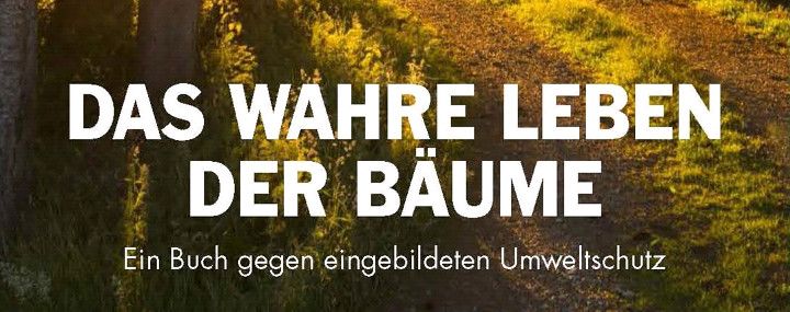 Torben Halbe: Das wahre Leben der Bäume