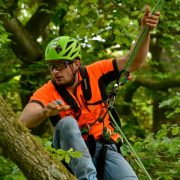 Baumklettern – Bäume pflegen und fällen mit Seilklettertechnik
