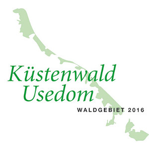 Waldgebiet des Jahres 2016: Der Küstenwald Usedom