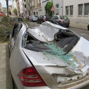 Verkehrssicherungspflicht: Wenn Bäume auf Autos fallen!