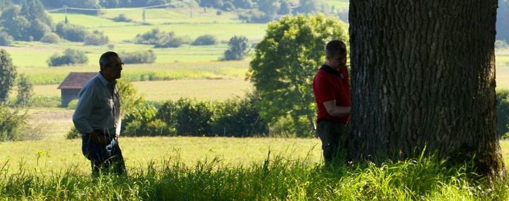 Baumgutachten, Baumkontrolle, Baumuntersuchung