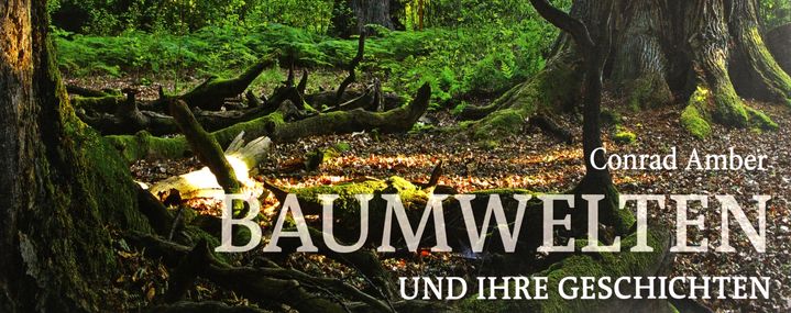 Buchtipp: Conrad Amber – Baumwelten und ihre Geschichten