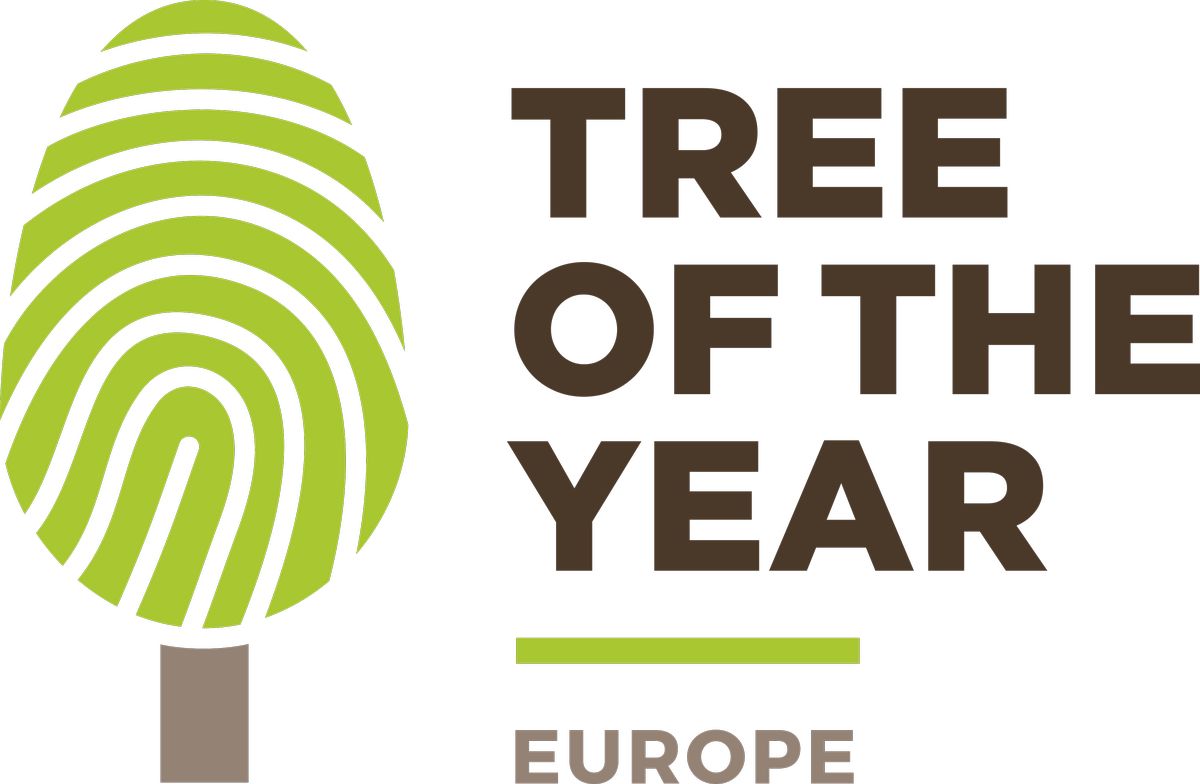 European Tree of the Year 2018