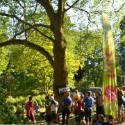 Baumkletter-Meisterschaften: Disziplin Ascent-Event