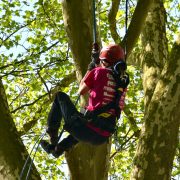 Baumkletter-Meisterschaften: Disziplin Ascent-Event