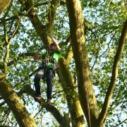 Baumkletter-Meisterschaften: Disziplin Ascent-Event