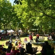 Baumkletter-Meisterschaften: Die besten Klettermaxe im Baum