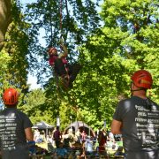 Baumkletter-Meisterschaften: Die besten Klettermaxe im Baum