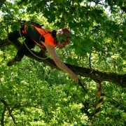 Baumkletter-Meisterschaften: Master's Challenge