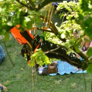 Baumkletter-Meisterschaften: Master's Challenge