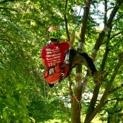 Baumkletter-Meisterschaften: Disziplin Areal Rescue