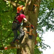 Baumkletter-Meisterschaften: Disziplin Speedclimb