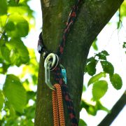 Baumkletter-Meisterschaften: Disziplin Throwline