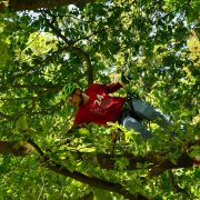 Baumkletter-Meisterschaften: Disziplin Workclimb