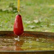 Baumkletter-Meisterschaften: Disziplin Workclimb