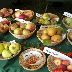 Urlaub und Tourismus auf Streuobstwiesen