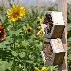 Urlaub und Tourismus auf Streuobstwiesen
