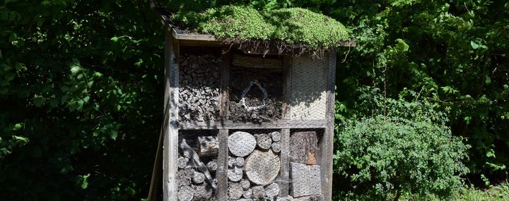 Insektenhotel: Unterschlupf für Nützlinge