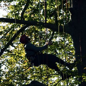 Kletterkurse für Geocacher
