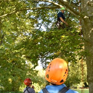 Kletterkurse für Geocacher