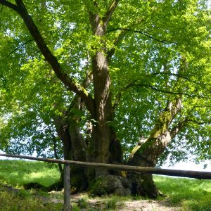 Kletterkurse für Geocacher