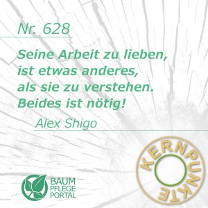 Alex Shigo: Kernpunkte