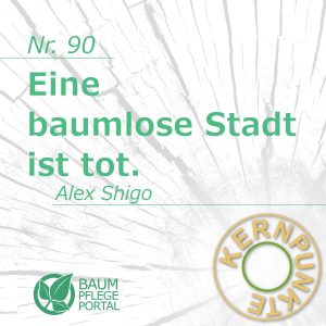 Alex Shigo: Kernpunkte