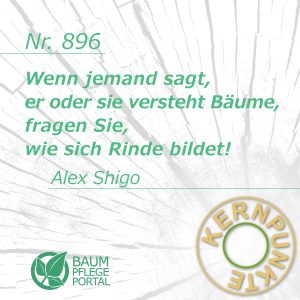 Alex Shigo: Kernpunkte