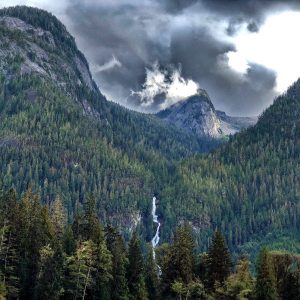 Wilderness International: Schutz der Giganten