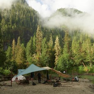 Wilderness International: Schutz der Giganten