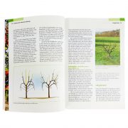 200123_Pardatscher-Winterschnitt-bei-Obstgehoelzen_S30