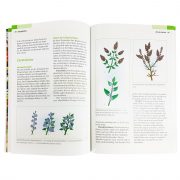 200123_Pardatscher-Winterschnitt-bei-Obstgehoelzen_S84