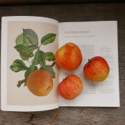 Buchtipp: Sofia Blind – Die alten Obstsorten