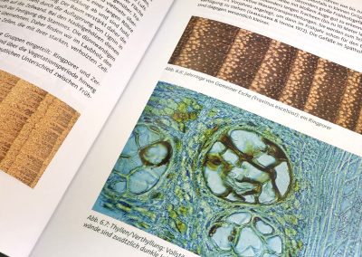 Buchtipp: Trockenstress bei Bäumen von Andreas Roloff