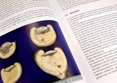 Buchtipp: Trockenstress bei Bäumen – Andreas Roloff