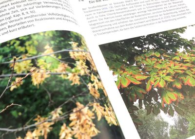 Buchtipp: Trockenstress – Andreas Roloff