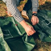 Wie gießt man alte Bäume in der Stadt?