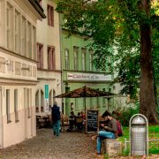 In der Stadt brauchen Bäume Hilfe.