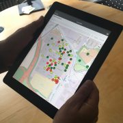 Digitales Baummanagement: Vorteile Professioneller Baumsoftware