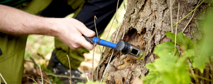 Digitales Baummanagement: Vorteile Professioneller Baumsoftware