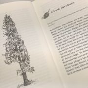 Buchttipp_Caroline Ring_Botschafter-des-Lebens_Mammutbaum