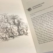 Buchttipp_Caroline Ring_Botschafter-des-Lebens_Süntelbuche