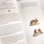 Buchseite mit Kaninchen und Meerschweinchen
