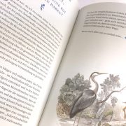 Buchseite mit Reiher am Gartenteich