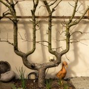 Obstbaumpflege vom Sprössling bis zum Greis